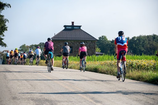 A group of cyclists on a road.