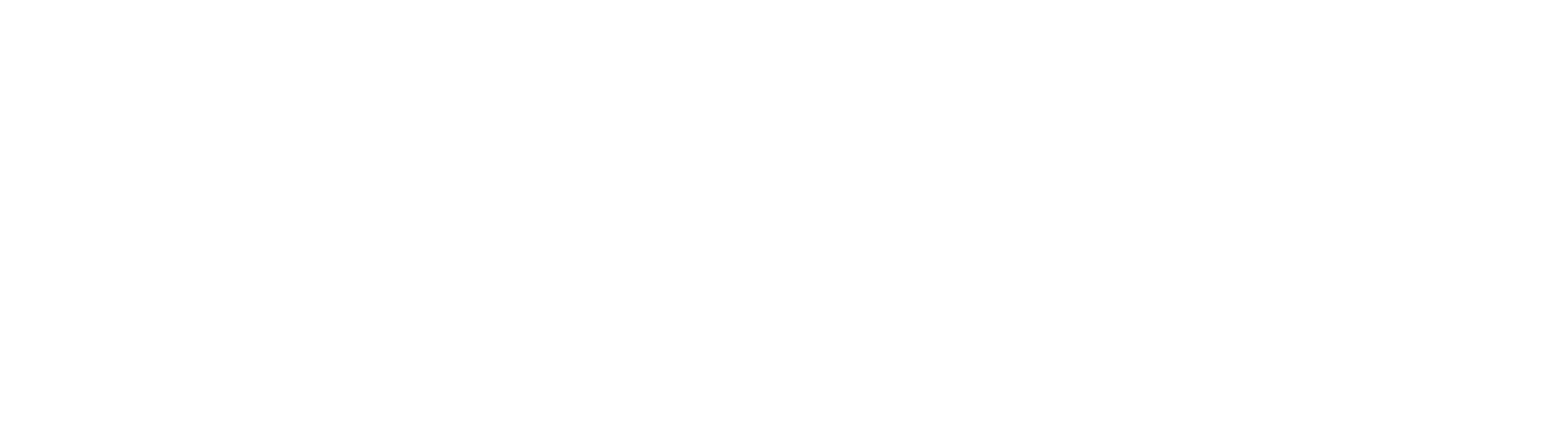 RV LIFE logo