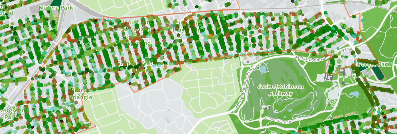 New York City Street Tree Map